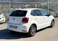 Volkswagen Polo 5p 1.4 tdi bm Fresh 75cv - thumbnail 6