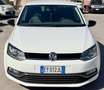 Volkswagen Polo 5p 1.4 tdi bm Fresh 75cv - thumbnail 7
