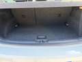 Volkswagen Polo 5p 1.4 tdi bm Fresh 75cv - thumbnail 10