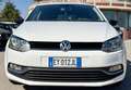 Volkswagen Polo 5p 1.4 tdi bm Fresh 75cv - thumbnail 2