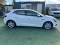 Renault Megane Société 2 places Réversible 5 places 1.5 BlueDci 95ch Business Blanc - thumbnail 5