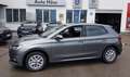 Skoda Fabia Selection*LED*SHZ*REAR VIEW*DAB*GARANTIE 5J/100TKM Grijs - thumbnail 1