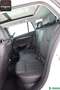 Skoda Octavia Combi 1.4 TSI iV FIRST EDITION SITZKLIMA Weiß - thumbnail 11