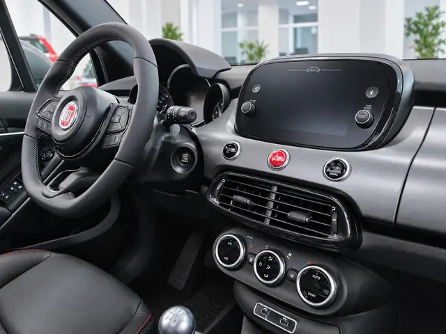 Fiat 500x view 6