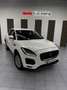 Jaguar E-Pace 2.0D I4 SE FWD 150 Weiß - thumbnail 26