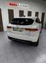 Jaguar E-Pace 2.0D I4 SE FWD 150 Weiß - thumbnail 28