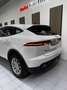 Jaguar E-Pace 2.0D I4 SE FWD 150 Weiß - thumbnail 12