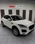 Jaguar E-Pace 2.0D I4 SE FWD 150 Weiß - thumbnail 20