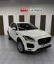 Jaguar E-Pace 2.0D I4 SE FWD 150 Weiß - thumbnail 19