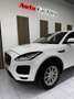 Jaguar E-Pace 2.0D I4 SE FWD 150 Weiß - thumbnail 7