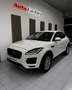Jaguar E-Pace 2.0D I4 SE FWD 150 Weiß - thumbnail 6