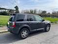 Land Rover Freelander Freelander II 2011 2.2 sd4 SE 190cv auto Grigio - thumbnail 5