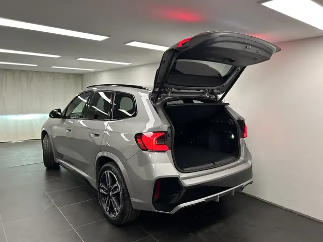 BMW X1 view 11
