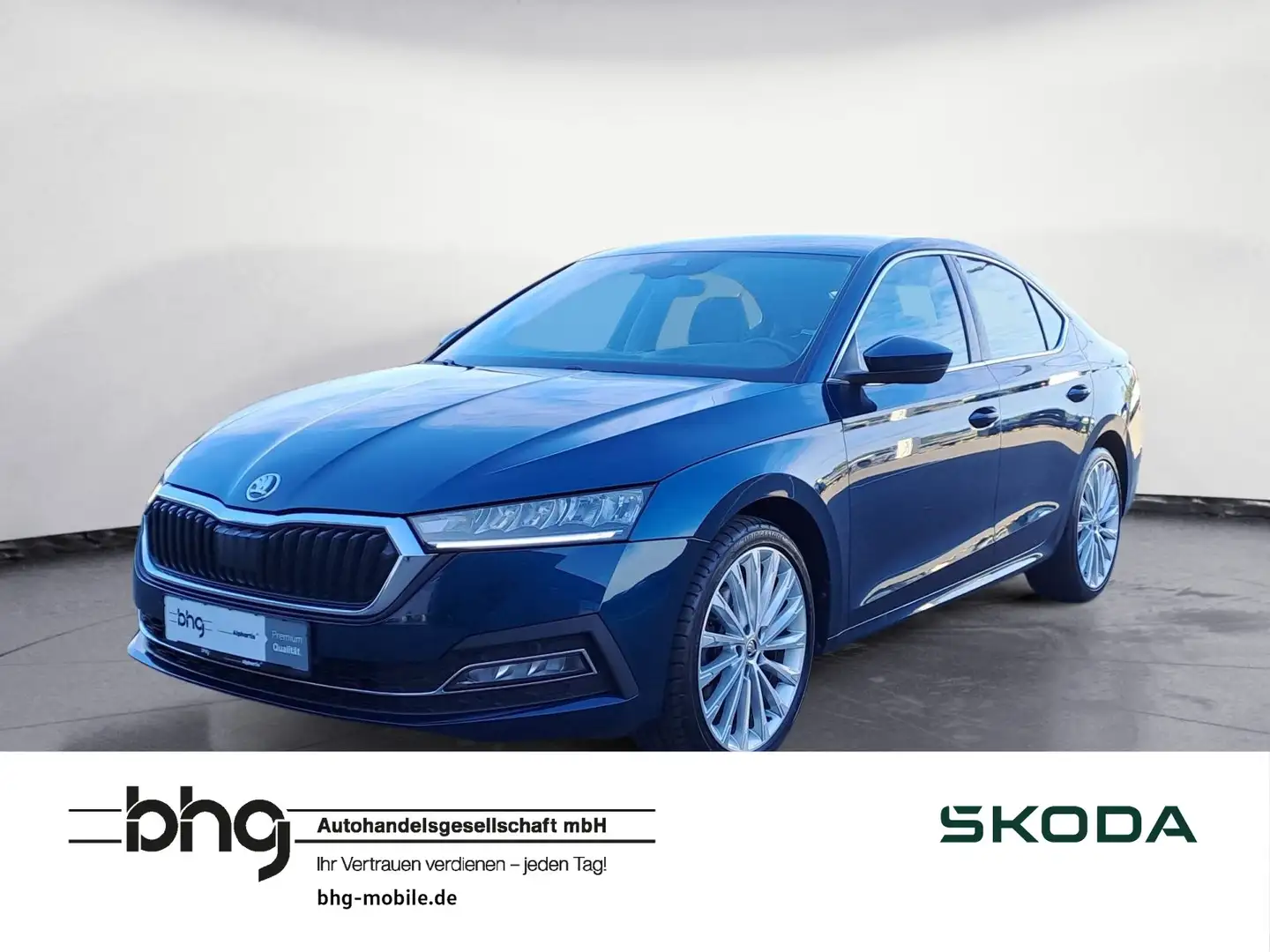 Skoda Octavia 2.0 TDI DSG 4x4 AHK ergoComfort Standhzg Bleu - 1