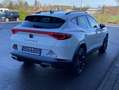 CUPRA Formentor 1.4 TSI DSG eHybrid AHK+EL.MOTORSPORTS Weiß - thumbnail 5