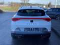 CUPRA Formentor 1.4 TSI DSG eHybrid AHK+EL.MOTORSPORTS Weiß - thumbnail 4