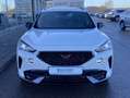 CUPRA Formentor 1.4 TSI DSG eHybrid AHK+EL.MOTORSPORTS Weiß - thumbnail 7