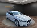 Jaguar XE Blanc - thumbnail 7