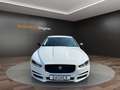 Jaguar XE Blanc - thumbnail 8