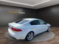 Jaguar XE Blanc - thumbnail 5