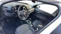 Fiat Tipo 5 Porte 1.3 Multijet Cross Bianco - thumbnail 11