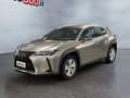 Lexus UX 250h UX Hybrid Business Grau - thumbnail 1