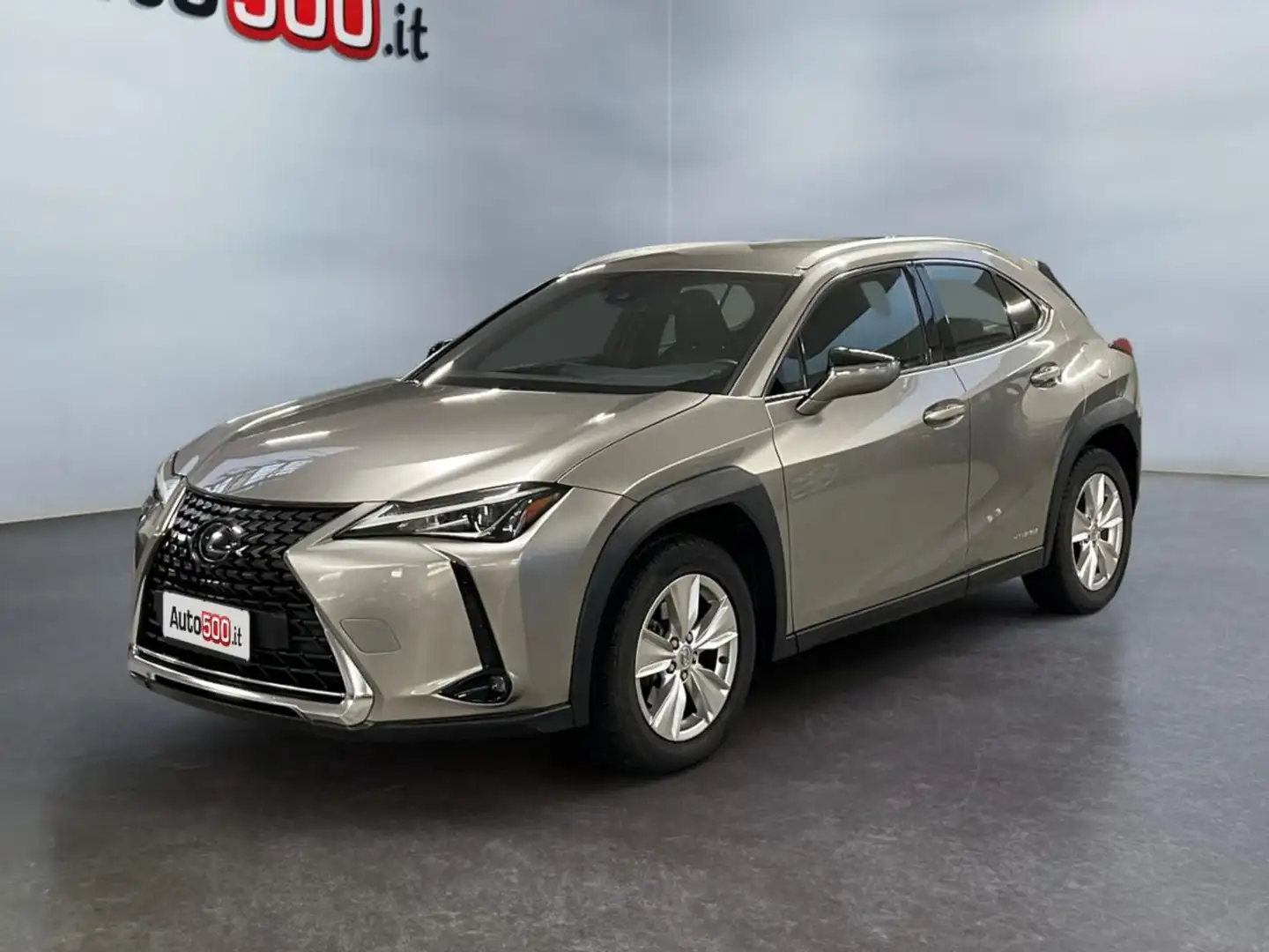 Lexus UX 250h UX Hybrid Business Grau - 1