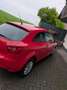 SEAT Ibiza Sun Rot - thumbnail 4
