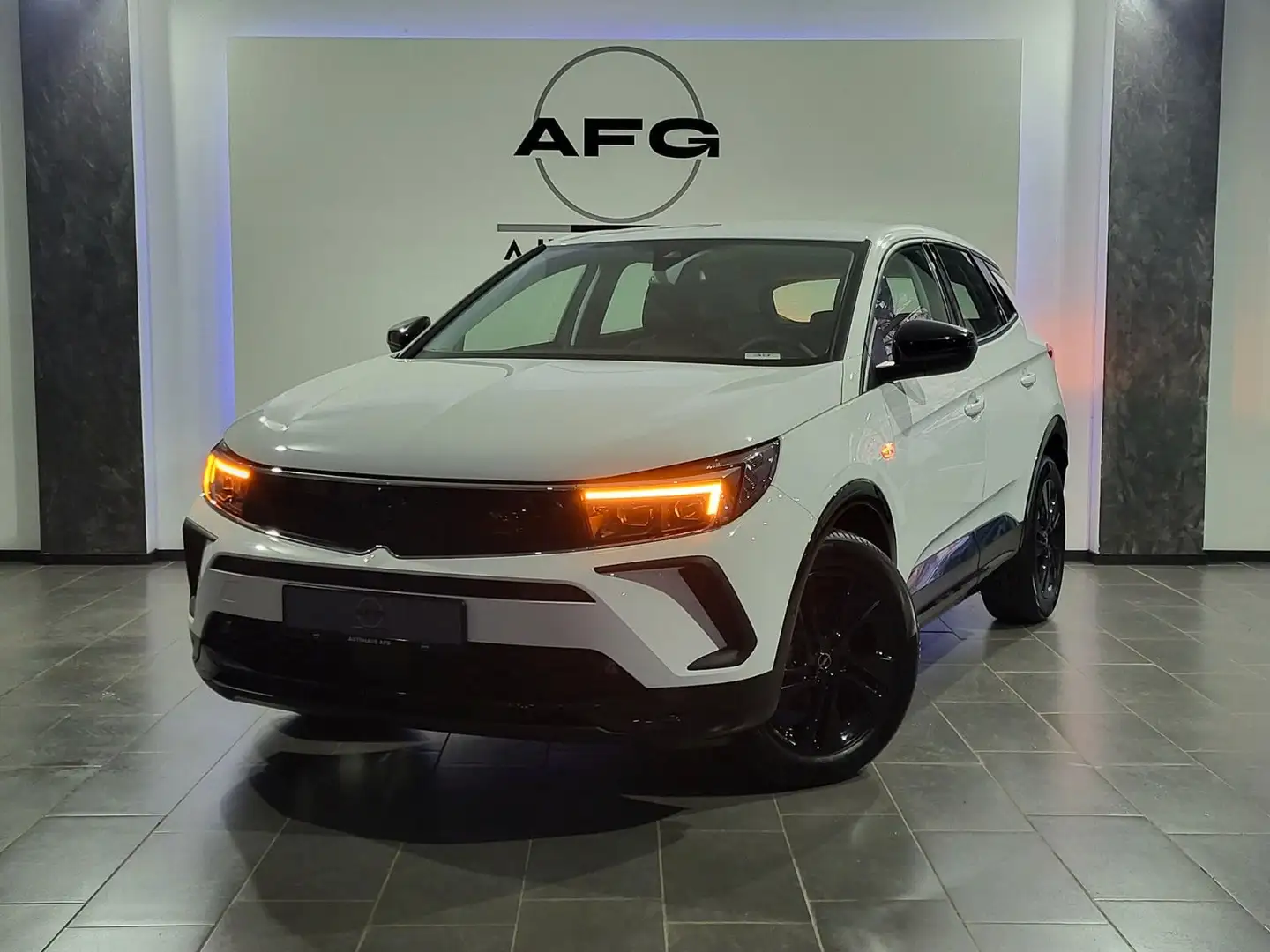 Opel Grandland X *KAMERA*NAVI*SHZ* Weiß - 1
