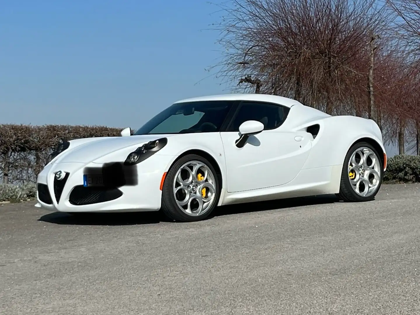 Alfa Romeo 4C 4C Coupe Coupe 1750 tbi 240cv tct White - 2