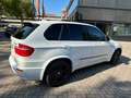 BMW X5 M 4.4 V8 Wit - thumbnail 6