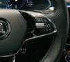Skoda Superb Combi Sportline 2.0 TDI 4x4*ACC*PAN*AHK Schwarz - thumbnail 14
