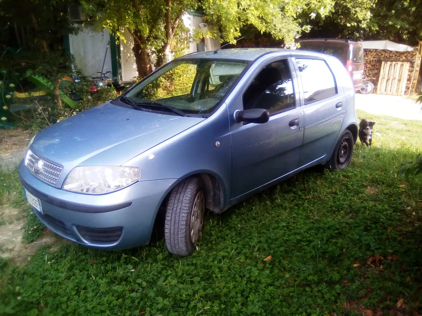 Fiat Punto Punto 5p 1.2 natural power Classic Blu/Azzurro - 2