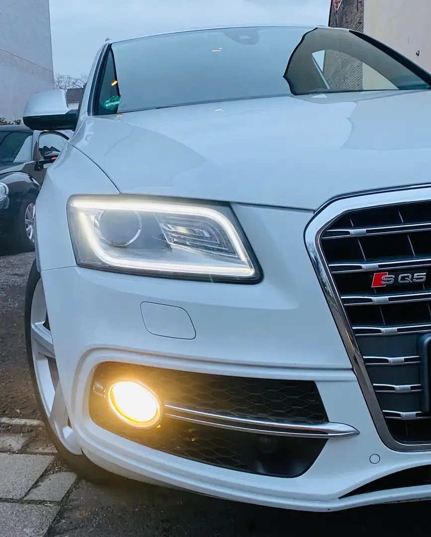 Audi SQ5 3.0 TDI quattro - 290€ FINANZIERUNG -TOP AUSSTA Weiß - 2