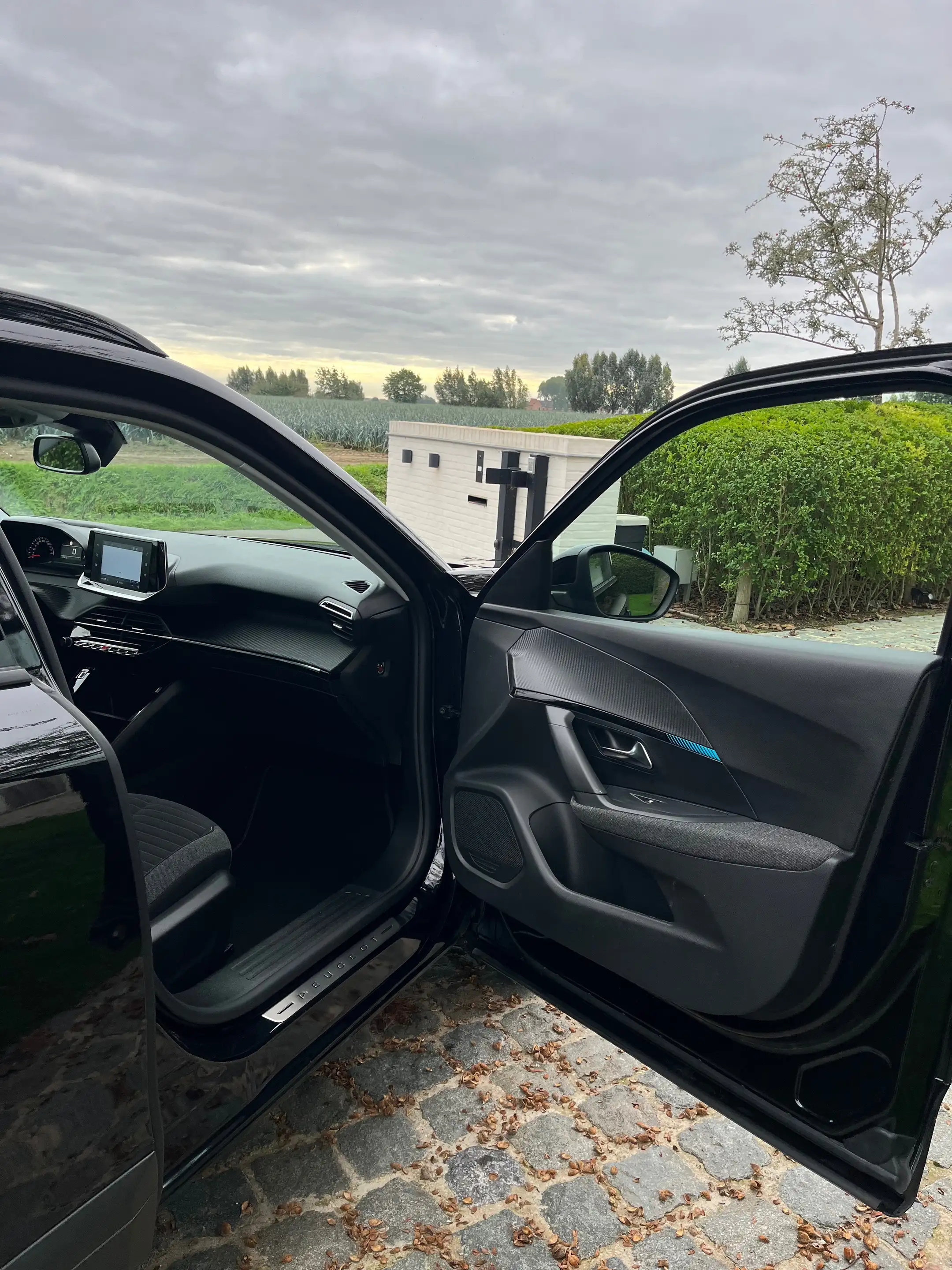 Peugeot 2008 2008 1.2 PureTech S/1eigenr/33900km/Carplay/Camera/Navi/Cruise... — photo 11