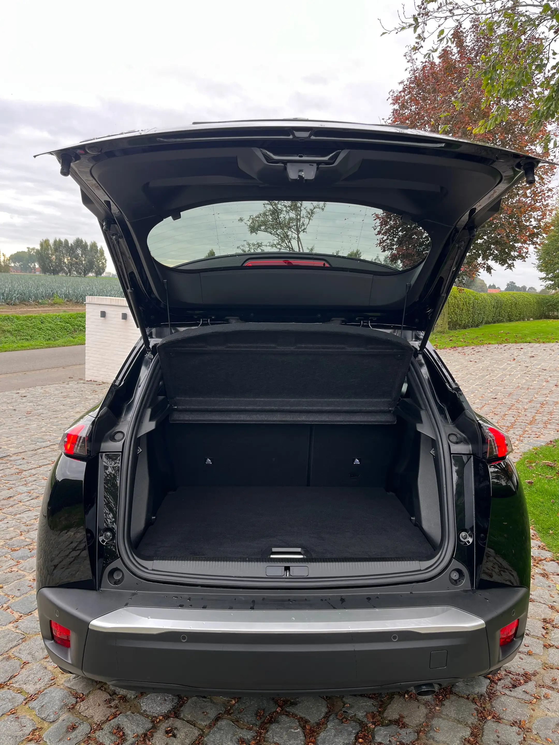 Peugeot 2008 2008 1.2 PureTech S/1eigenr/33900km/Carplay/Camera/Navi/Cruise... — photo 8