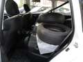 Subaru Forester 2.0X Allrad Comfort Blanco - thumbnail 8
