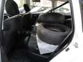 Subaru Forester 2.0X Allrad Comfort Blanc - thumbnail 8