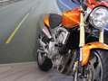 Honda Hornet 600 - 2006 - km 30782 Orange - thumbnail 10