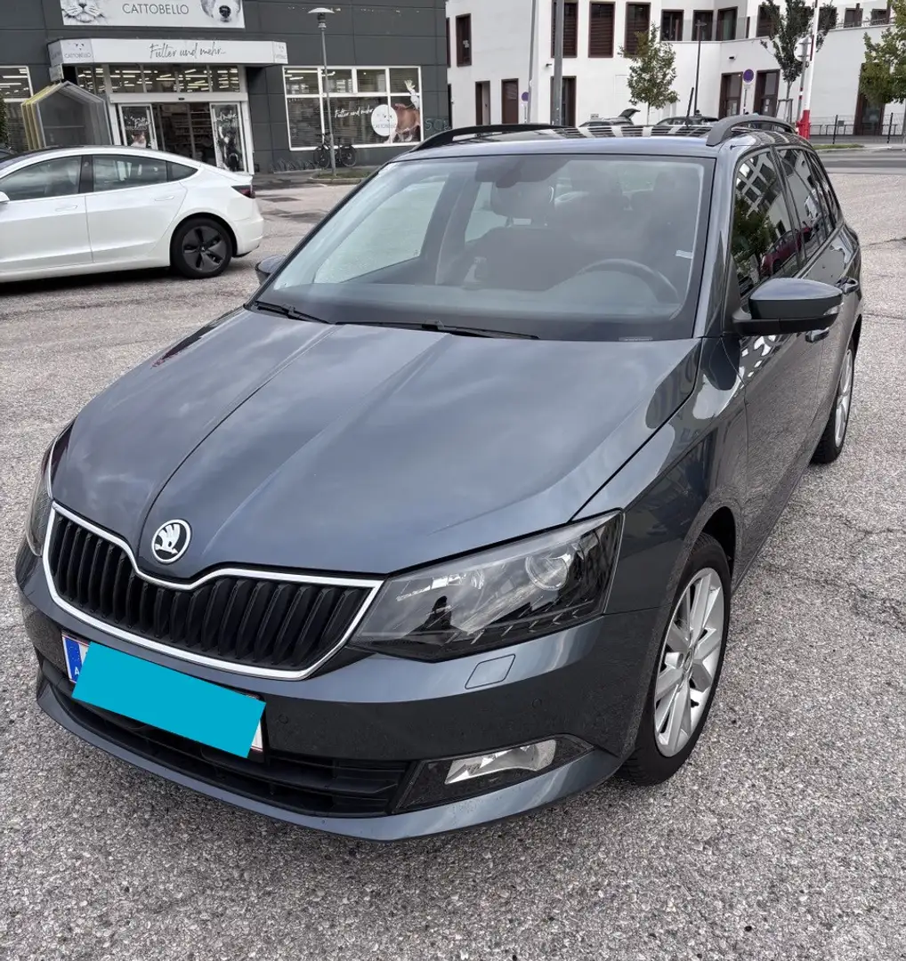 Skoda Fabia Fabia Combi Style 1,2 TSI Grau - 1