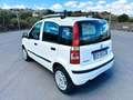 Fiat Panda Panda 1.4 16v 100cv Bianco - thumbnail 4