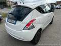 Lancia Ypsilon 1.2 69 CV GPL Gold Bianco - thumbnail 4
