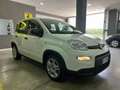 Fiat Panda Panda III 1.0 firefly hybrid s *NO FINANZIAMENTO Bianco - thumbnail 3