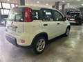 Fiat Panda Panda III 1.0 firefly hybrid s *NO FINANZIAMENTO Bianco - thumbnail 6