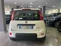 Fiat Panda Panda III 1.0 firefly hybrid s *NO FINANZIAMENTO Bianco - thumbnail 4