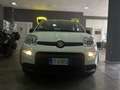 Fiat Panda Panda III 1.0 firefly hybrid s *NO FINANZIAMENTO Bianco - thumbnail 1