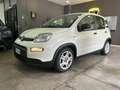Fiat Panda Panda III 1.0 firefly hybrid s *NO FINANZIAMENTO Bianco - thumbnail 2