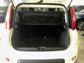 Fiat Panda Panda III 1.0 firefly hybrid s *NO FINANZIAMENTO Bianco - thumbnail 15