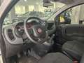 Fiat Panda Panda III 1.0 firefly hybrid s *NO FINANZIAMENTO Bianco - thumbnail 8
