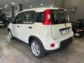 Fiat Panda Panda III 1.0 firefly hybrid s *NO FINANZIAMENTO Bianco - thumbnail 5